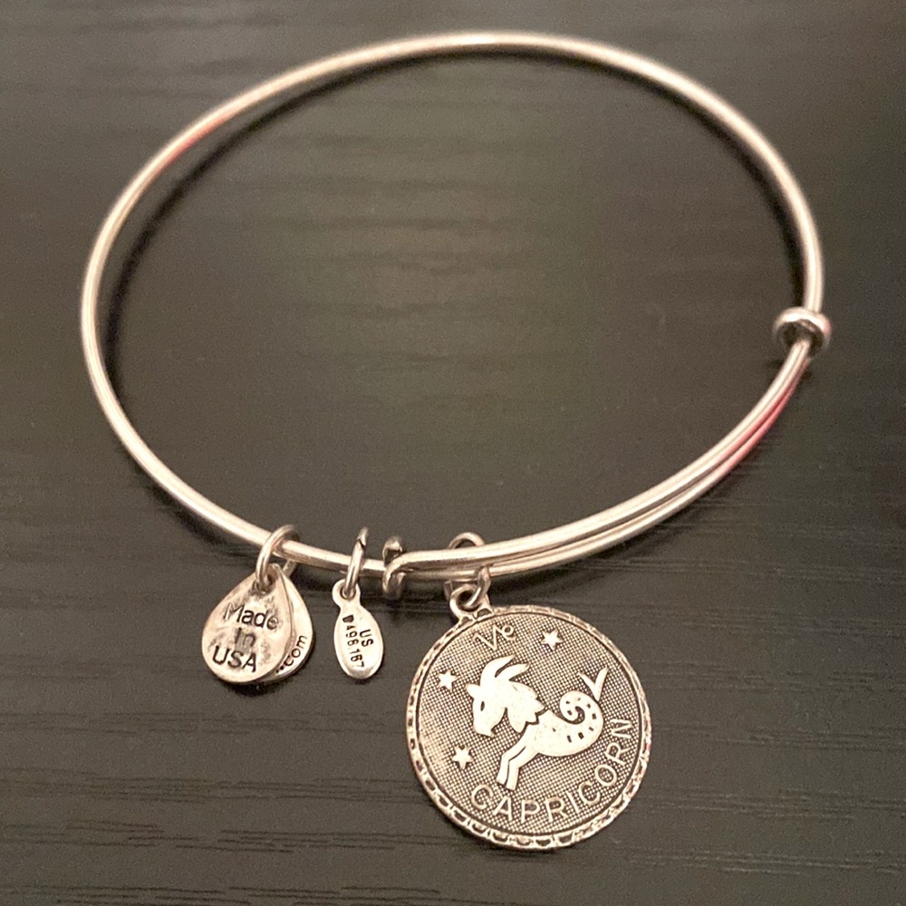 Alex and Ani Capricorn bracelet
